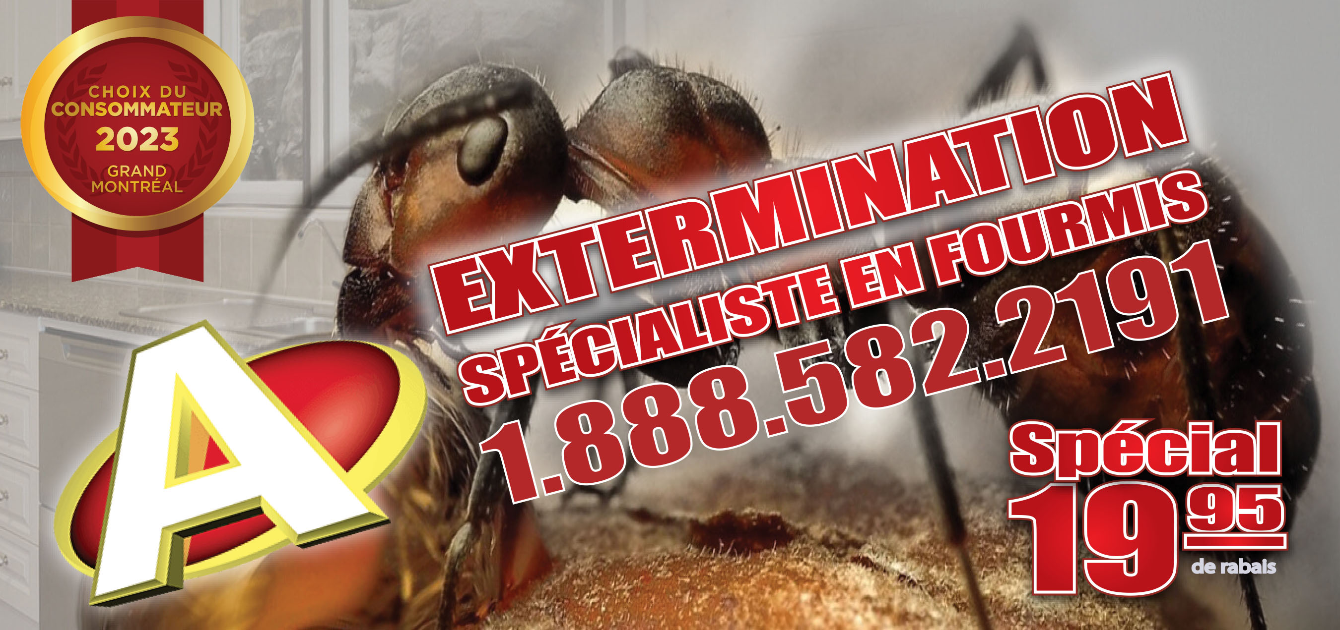 Exterminateur Longueuil A-Extermination 19$ Rabais
