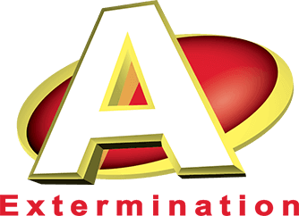 EXTERMINATEUR SAINTE-AGATHE  EXTERMINATION EXTERMINATOR